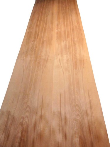 Buche furnier kern holz - kern,