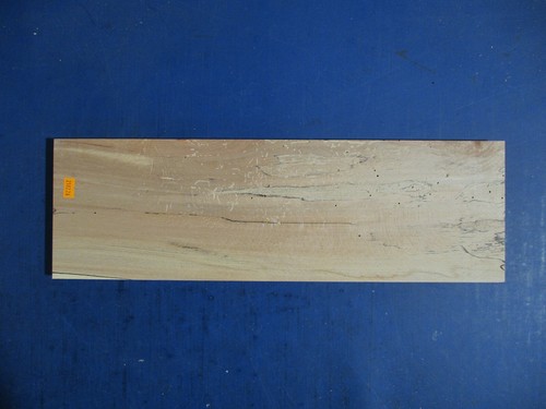 Buche verstockt bretter - buche,