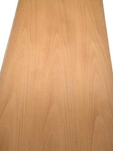Buche furnier holz - buche,