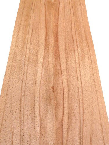 Buche furnier kern holz - kern,