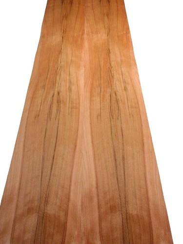 Buche furnier kern holz - buche,