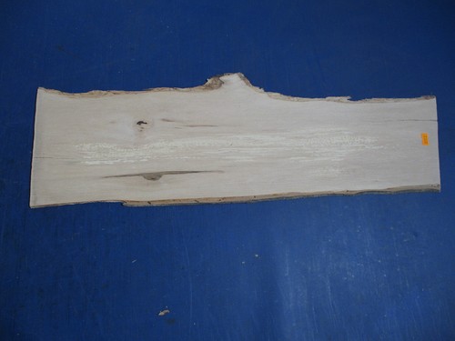 Weißbuche verstockt furnier - weißbuche,