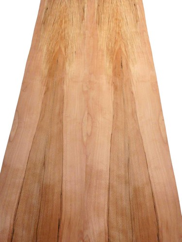 Buche furnier kern gestockt - buche,