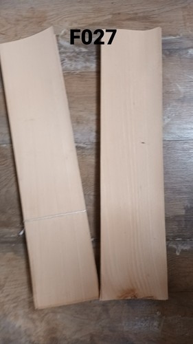 Blätter buche stark - 12,