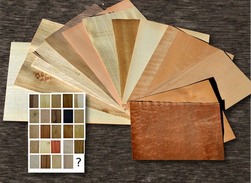 11er holz furnier - furnier, eiche