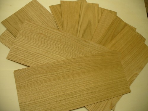 Blatt furnier ahorn - ahorn, /